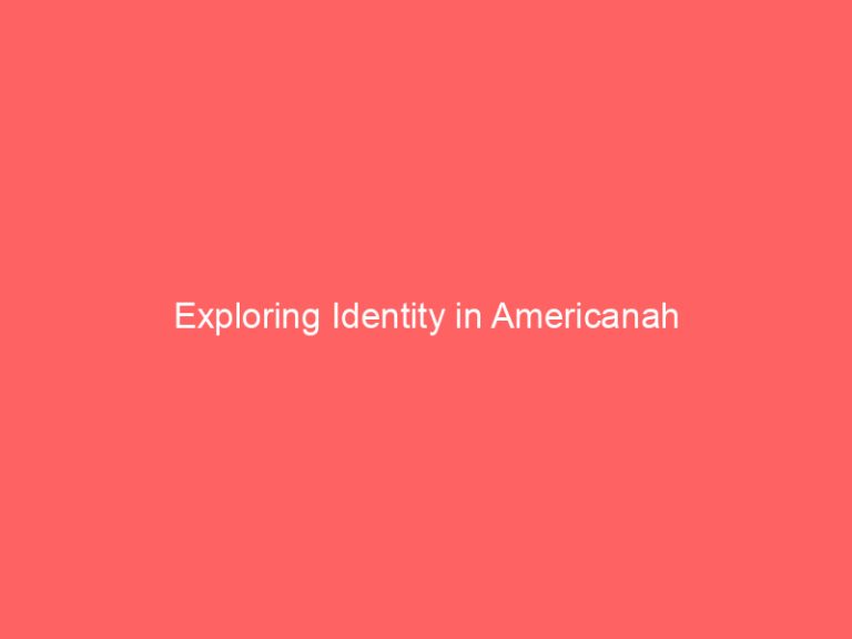 Exploring Identity in Americanah