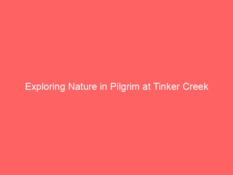 Exploring Nature in Pilgrim at Tinker Creek