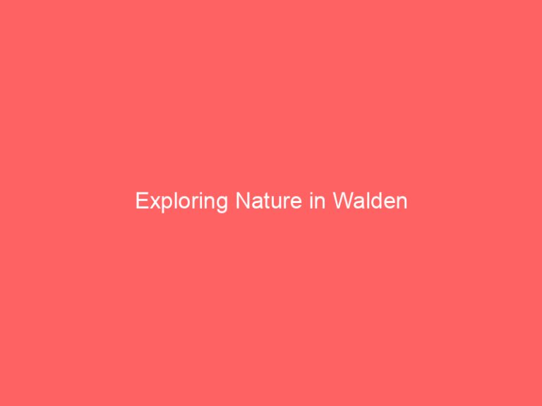 Exploring Nature in Walden