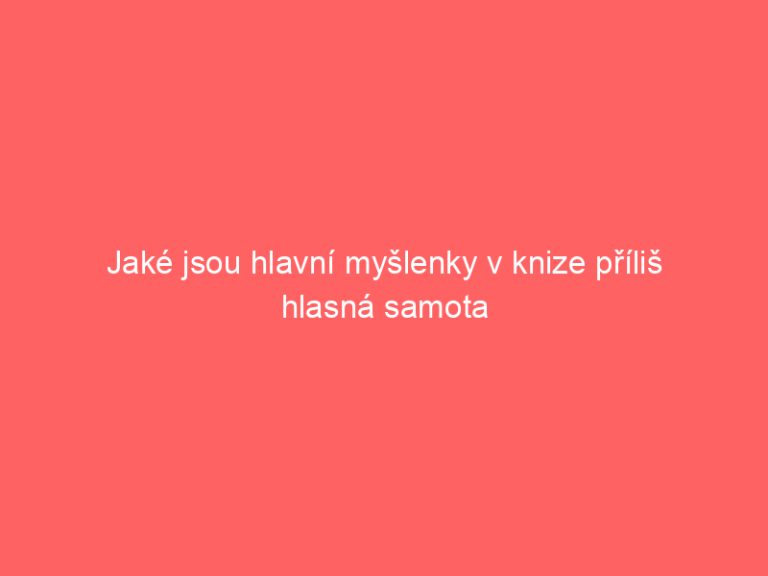 Jaké jsou hlavní myšlenky v knize příliš hlasná samota