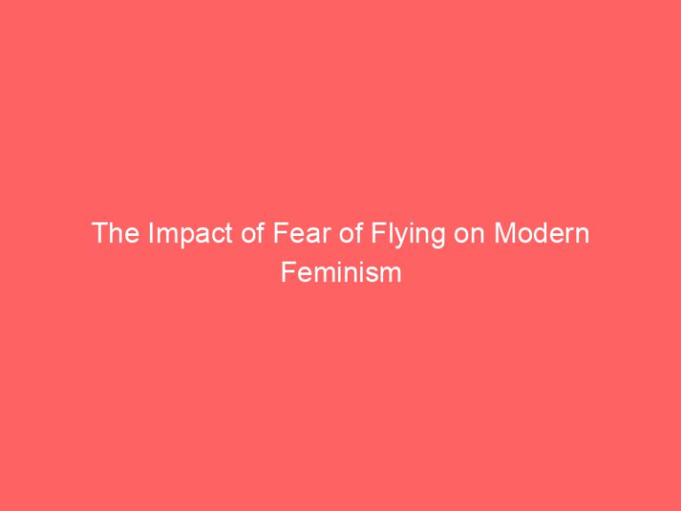 The Impact of Fear of Flying on Modern Feminism