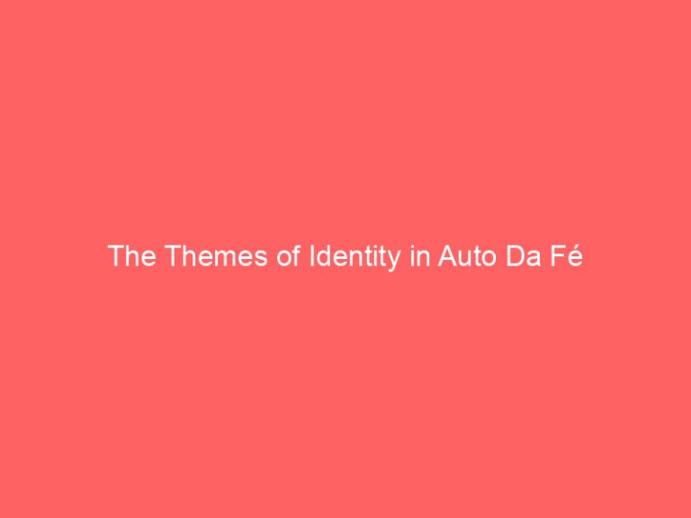 The Themes of Identity in Auto Da Fé
