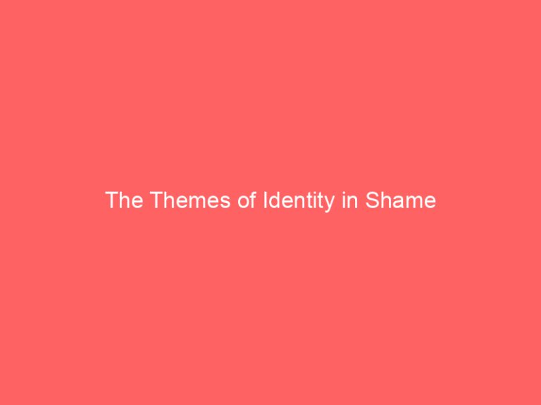 The Themes of Identity in Shame
