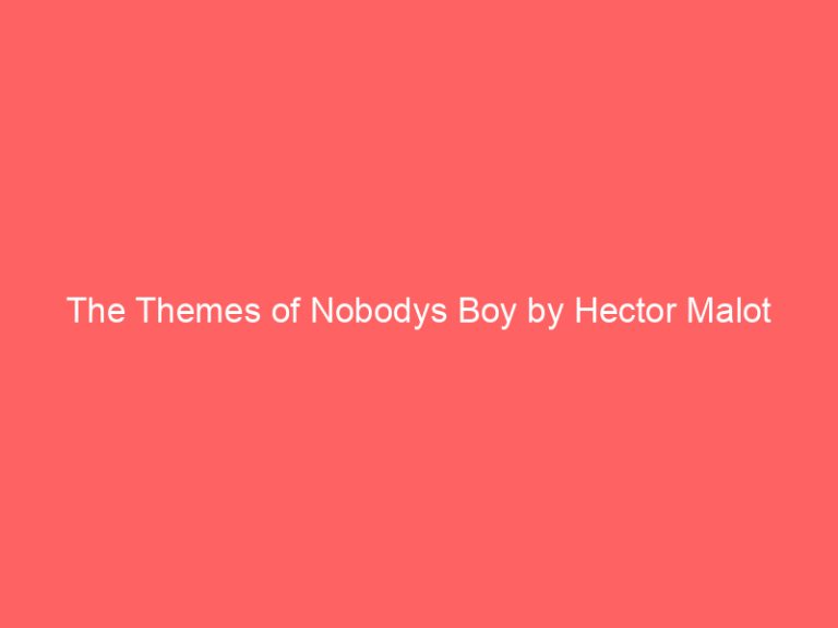 The Themes of Nobodys Boy by Hector Malot