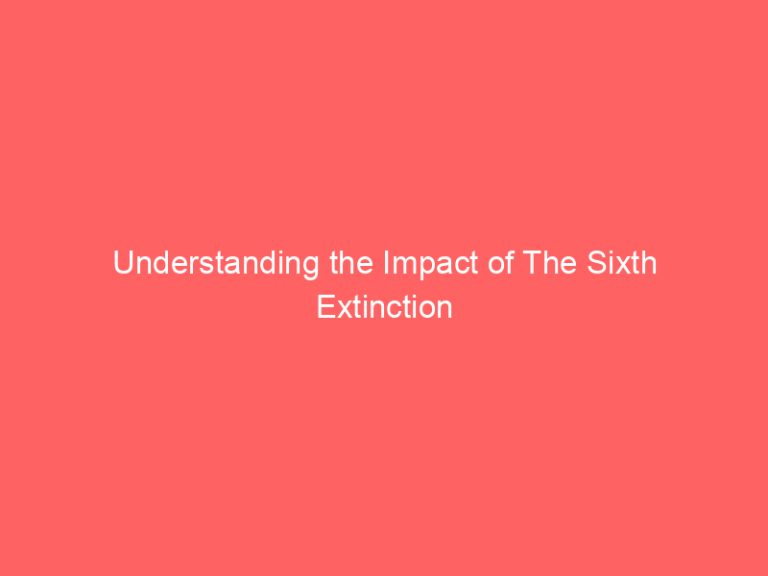 Understanding the Impact of The Sixth Extinction